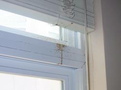 Window Leaks