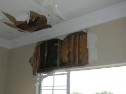 Roof and Deck Leaks